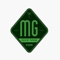 MG PALMITOS